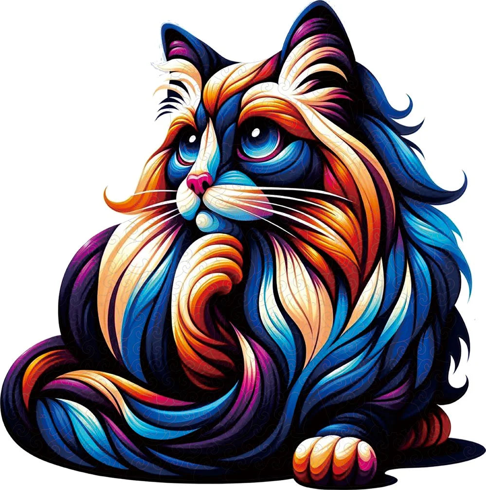 Vibrant whimsy ragdoll 1
